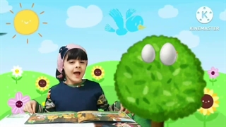 قصه بهار/مرجان چرخی