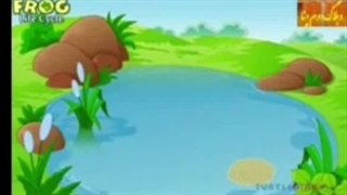 چرخه زندگی قورباغه/مرجان چرخی