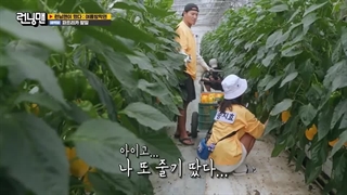 قسمت 667 برنامه کره ای رانینگ من