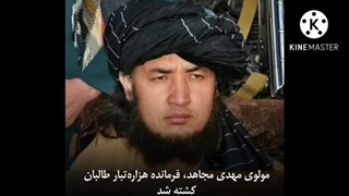 مولوی مهدی مجاهد