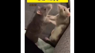 اگه این مشکل رو دارید پس دوست خوب منین