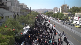 پناه جاماندگان