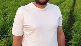 پیوند زنی نهال های هلو یکساله