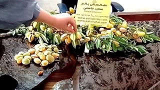 بادام آذرخوشه‌ای