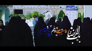 مولانا یا امام رضا (ع)