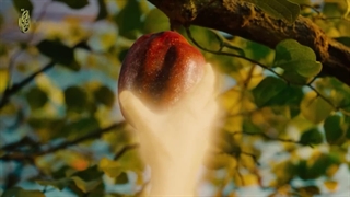 پیش به سوی پورنوتوپیا با ژوئی سانس