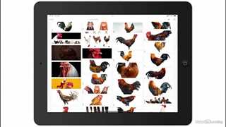 آموزش یادگیری ادوبی کپچر - گرافیسم