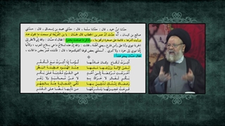 نسب معاویه لیپوست