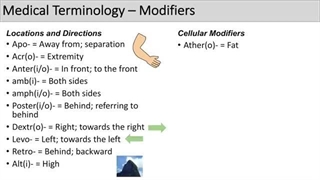 Medical Terminology - The Basics - Lesson 5