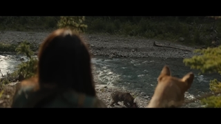 تریلر فیلم Prey 2022