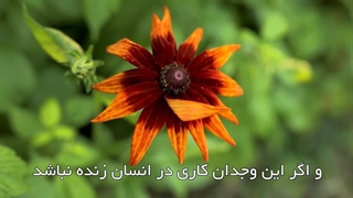 سعادت دنیا و آخرت بواسطۀ وجدان کاری(آیت الله العظمی مظاهری)