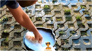 شامپو واکس سوناکس sonax wash & wax 500ML