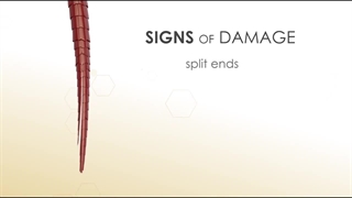 قشم مارت - اسپری ترمیم کننده مو شماره 0 اولاپلکس