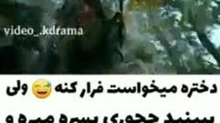 سریال چینی گرگ-240p