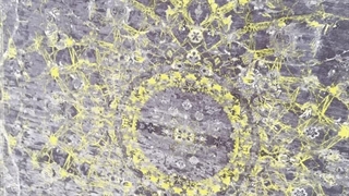 فرش کهنه نما مرداس