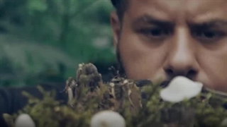 دانلود سریال هفت قسمت دوم نازنین بیاتی (سریال جدید ایرانی ۷)