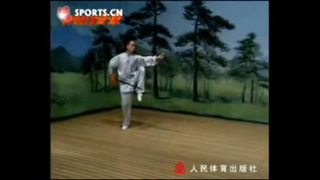 فرم جی ین شو سبک چاچوان ووشو