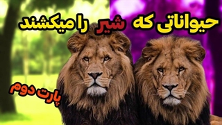 حیواناتی که قدرت کشتن شیر را دارند: