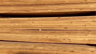 ترموود ساسنا درجه یک