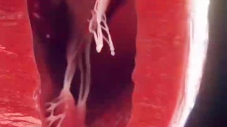 صداشو تا آخرین درجه زیاد کنید<3