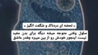 لحظه ای دردناک