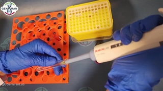 آموزش رنگ آمیزی رتیک