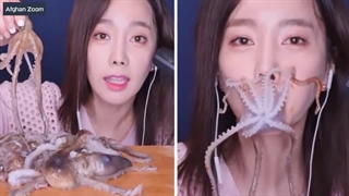 خطرناک ترین غذا هایی که مردم از آن استفاده میکنند، جالب اما واقعی