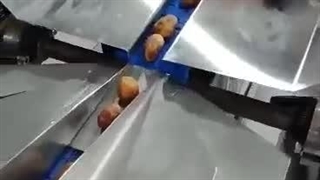 دستگاه بسته بندی خرما ماشین سازی عدیلی