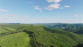 معجزه سبز" چین در «سای هان با»