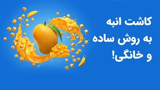 ساده ترین روش کاشت انبه در گلدان