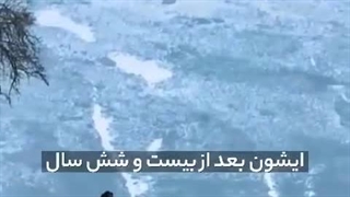 معلم نمونه ایرانی برگزیده جهانی