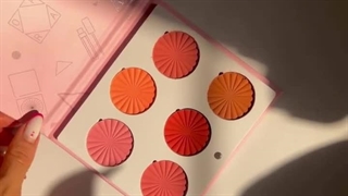 پالت رژگونه پودری افرا Ofra cosmetics mini mix blush palette