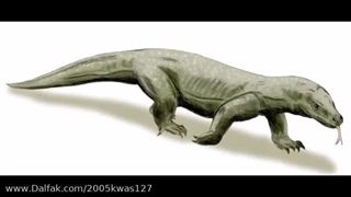 Megalania