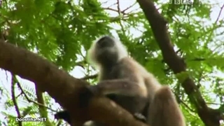 Deadly 60 قسمت 11