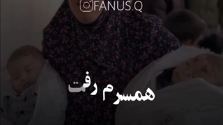 معلمان تاریخ بشریت