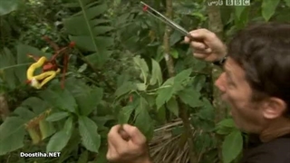 Deadly 60 قسمت 16