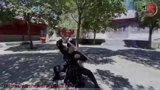 سلاح جی ین شو در رشته ورزشی ووشو