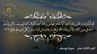 تلاوت قرآن کریم/جزء سیزدهم