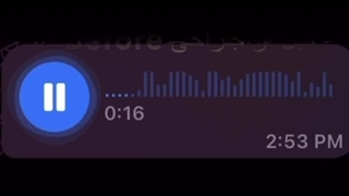تطبیق صدا با جنسیت. مردانه سازی صدا