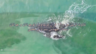 ترتیل جزء 26 ویژه نوجوانان و جوانان، استاد : سیروس معینی