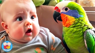 برترین لحظات خنده دار کودک و حیوان خانگی شما را با صدای بلند می خنداند - ویدیوهای خنده دار کودک | بیگ بیبی