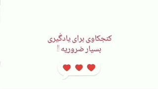کنجکاوی