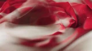 رژ مایع امبر رز شیگلم چهار رنگ