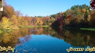 سال نو و عید نوروز مبارک/غزلیات /شعر بهار/ تبریک عید نوروز /کلیپ عید از طالب اردبیلی