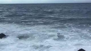 پارت چهاردهم رمان THE EDICTION (اعتیاد)