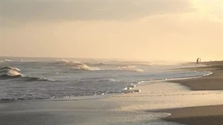 پارت شانزدهم رمان THE EDICTION (اعتیاد)